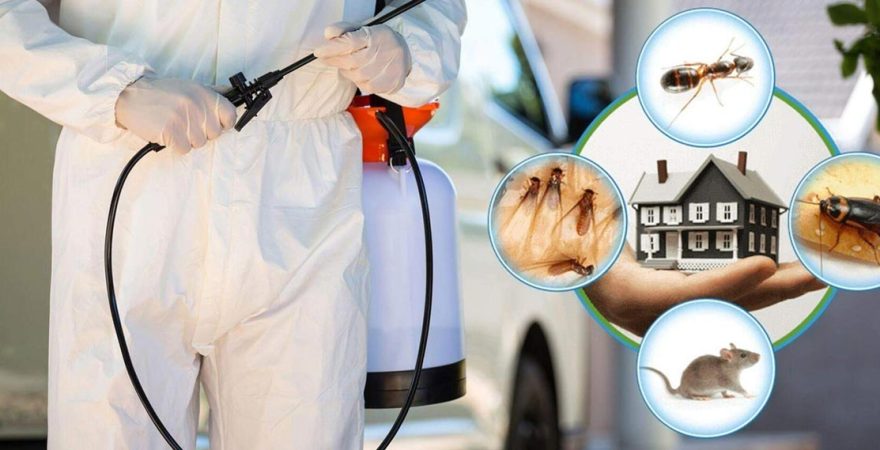 Devrek Böcek İlaçlama