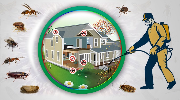 Devrek Böcek İlaçlama