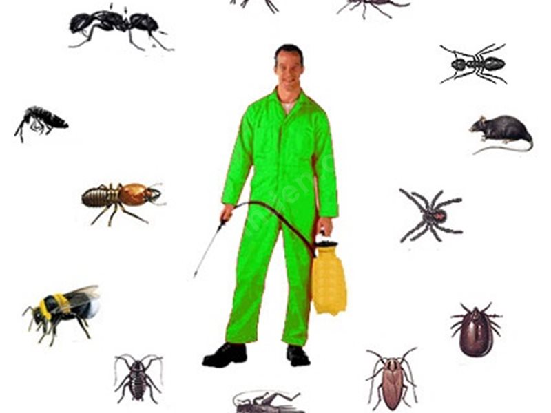 Devrek Böcek İlaçlama